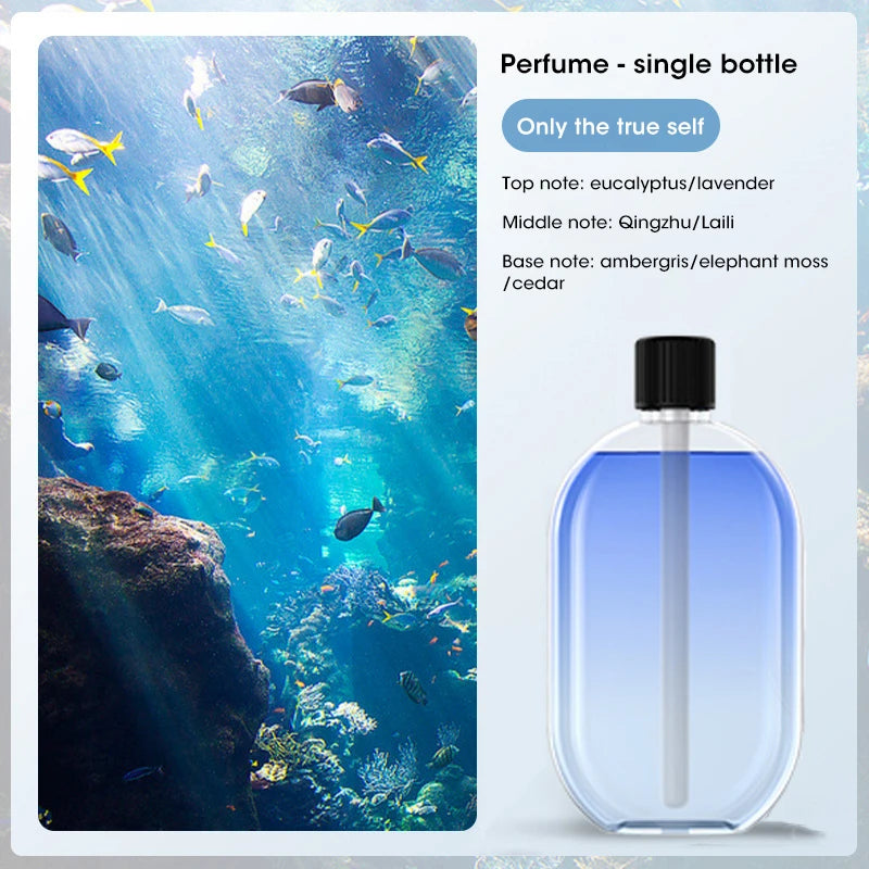 Smart essential oil diffuser, color luminous aromatherapy machine, car bedroom living room office aromatherapy machine Only the true self