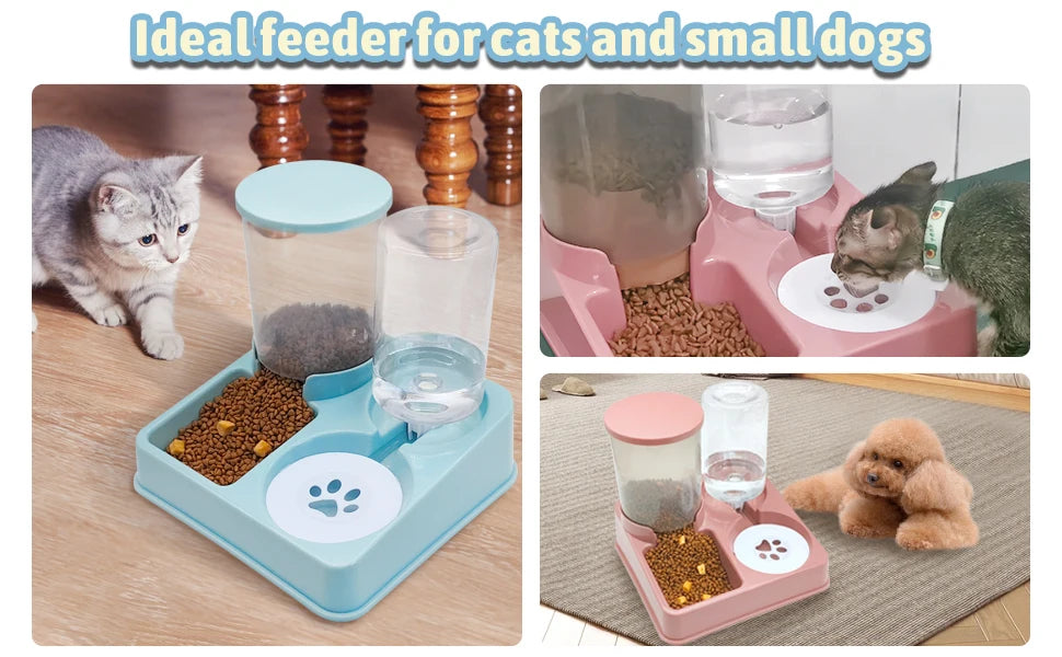 2-in-1 Tilted Automatic Pet Feeder and Water Dispenser